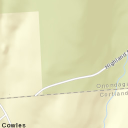 Cowles Settlement New York Street Map