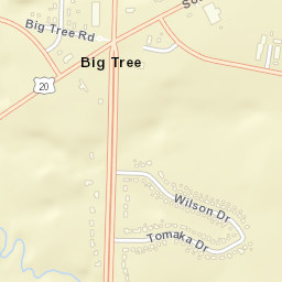 Big Tree New York Street Map