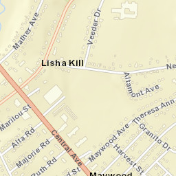 Lisha Kill New York Street Map