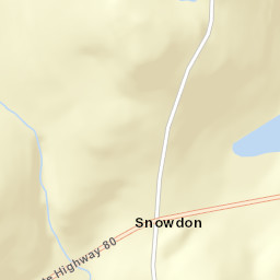Snowdon New York Street Map