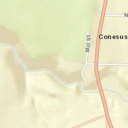 Conesus New York Street Map