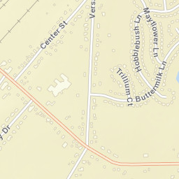 Lake View New York Street Map