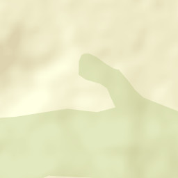 Obshtina Mirkovo Street Map