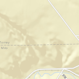 Mays Mills New York Street Map