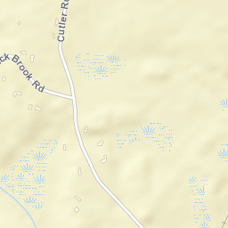 Essex County Street Map