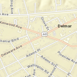 Delmar New York Street Map