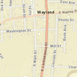 Wayland New York Street Map