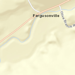 Fergusonville New York Street Map