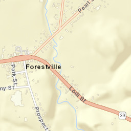 Forestville New York Street Map