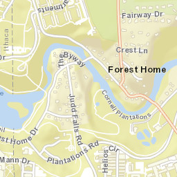 Forest Home New York Street Map