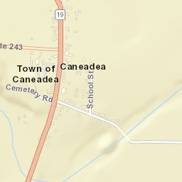 Caneadea New York Street Map