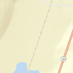 Bird New York Street Map