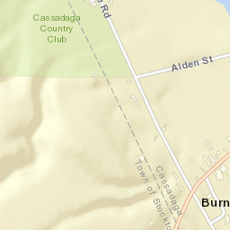 Burnhams New York Street Map