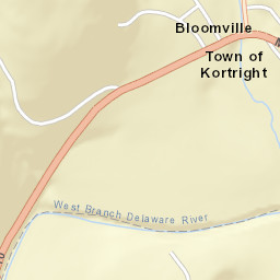 Bloomville New York Street Map