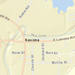 Savona New York Street Map