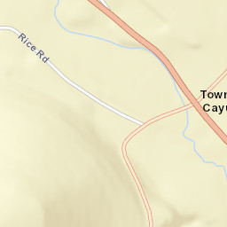Cayuta New York Street Map