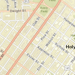 Holyoke Street Map