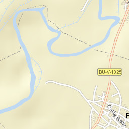 Palazuelos de Muñó Street Map