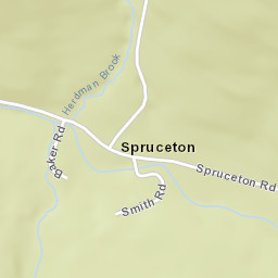 Spruceton New York Street Map