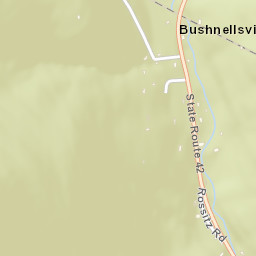 Bushnellsville New York Street Map