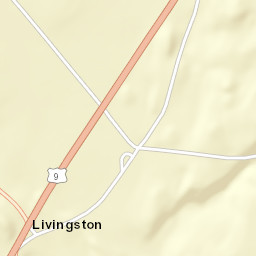 Livingston New York Street Map