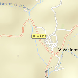 Vizcaínos Street Map
