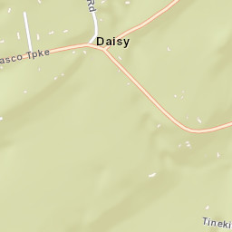 Daisy New York Street Map