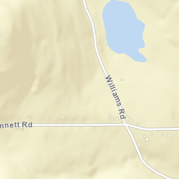 Flowers New York Street Map