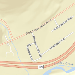 Pine City New York Street Map