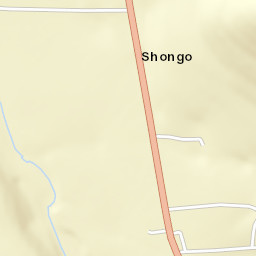 Shongo New York Street Map
