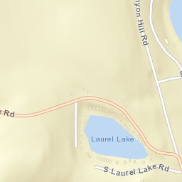 Danville New York Street Map