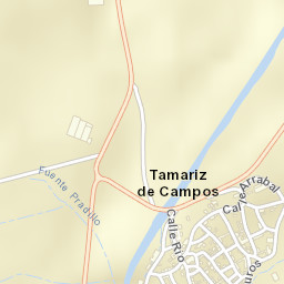 Tamariz de Campos Street Map