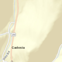 Cadosia New York Street Map