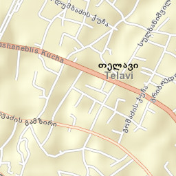 Telavi Street Map