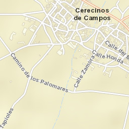 Cerecinos de Campos Street Map