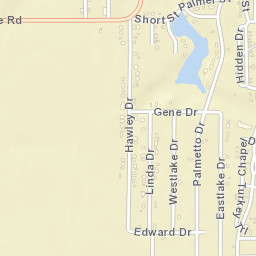 Palmetto Beach Ohio Street Map