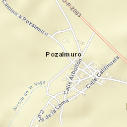 Pozalmuro Street Map