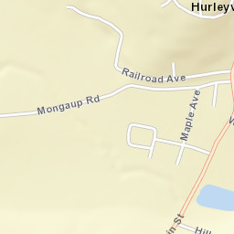 Hurleyville New York Street Map