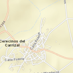Cerecinos del Carrizal Street Map