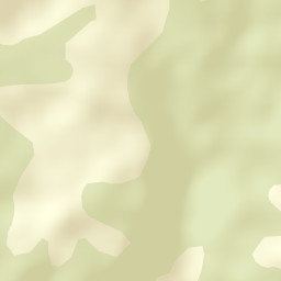 Obshtina Dospat Street Map