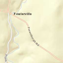 Forestburg New York Street Map
