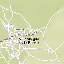 Villardiegua de la Ribera Street Map