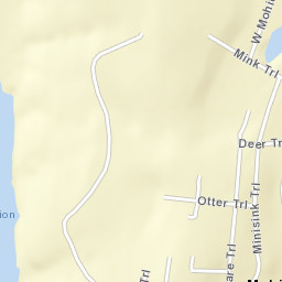 Mohican Lake New York Street Map