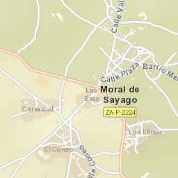 Moral de Sayago Street Map