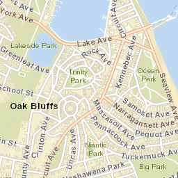 Oak Bluffs Street Map