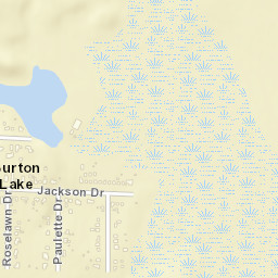 Burton Lake Ohio Street Map