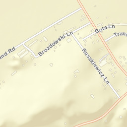 Wilcox New York Street Map