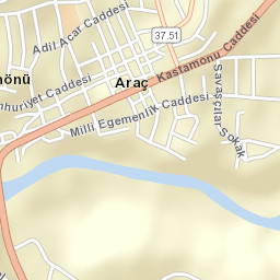 Araç Street Map