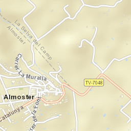 Almoster Street Map