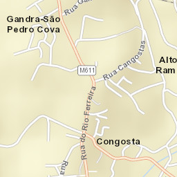 São Pedro da Cova Street Map